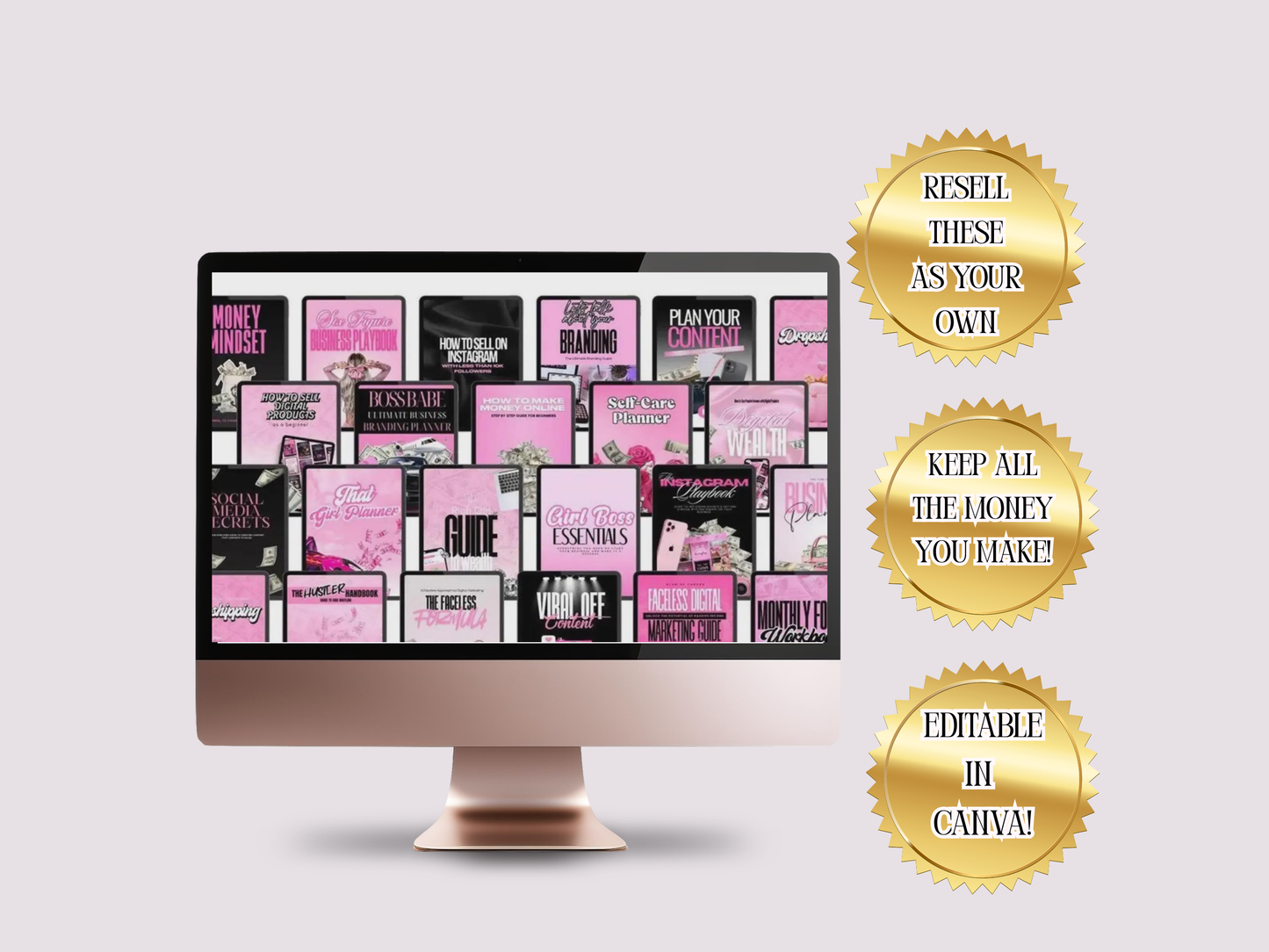 22 e-Book Bundle With PLR & MRR Resell Rights