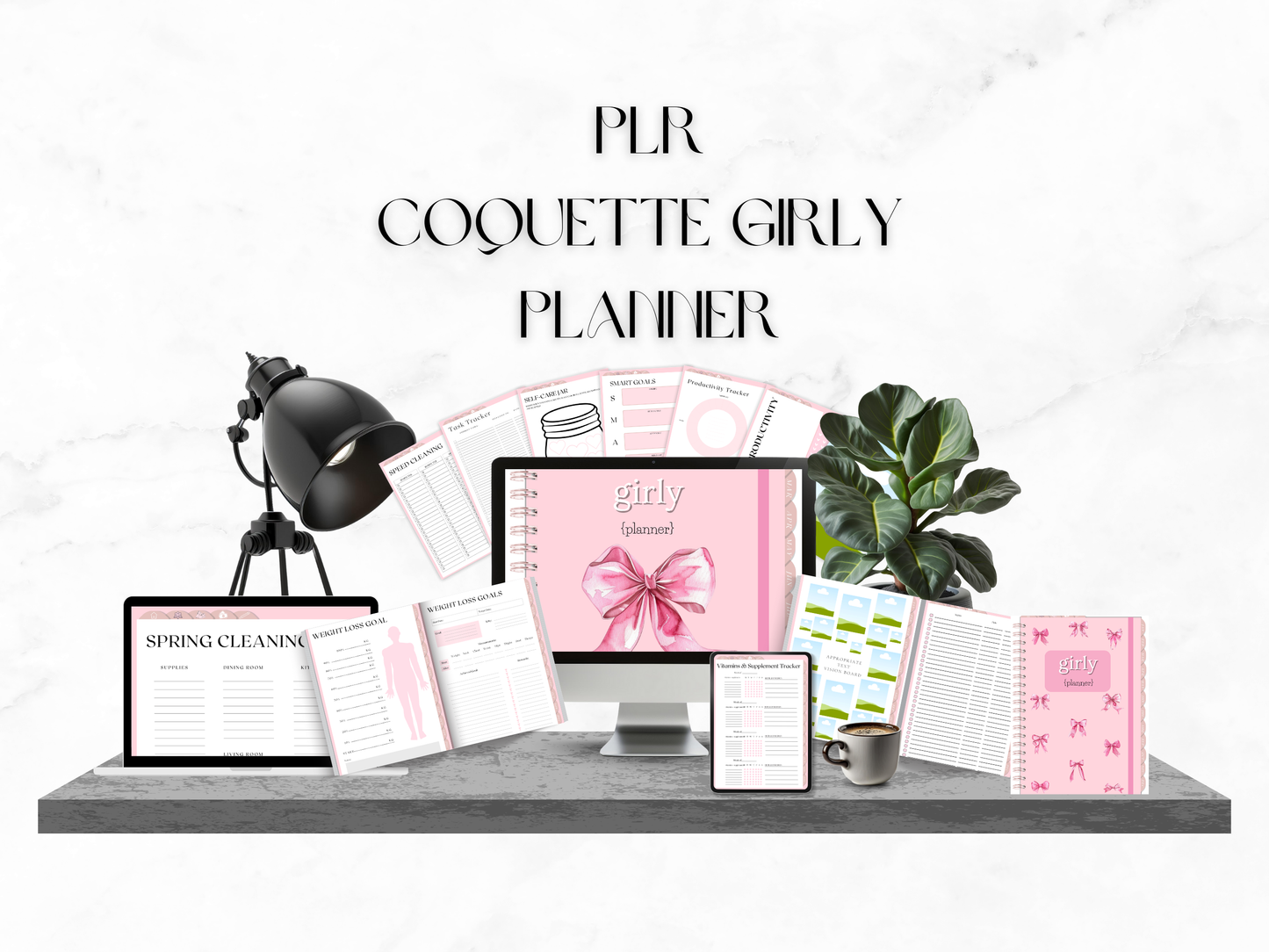 PLR Girly Coquette Planner