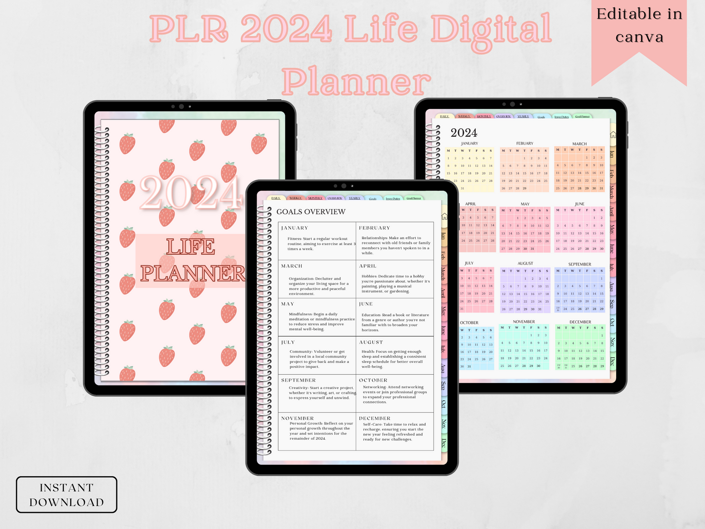 PLR 2024 Life Planner