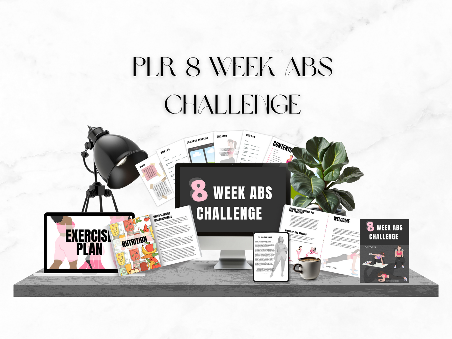 PLR 8 Week Abs Challenge