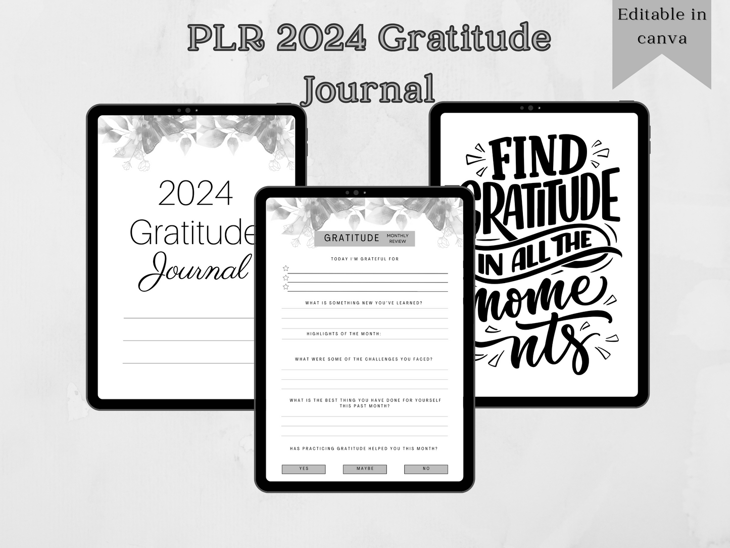 PLR Editable 2024 Gratitude Journal