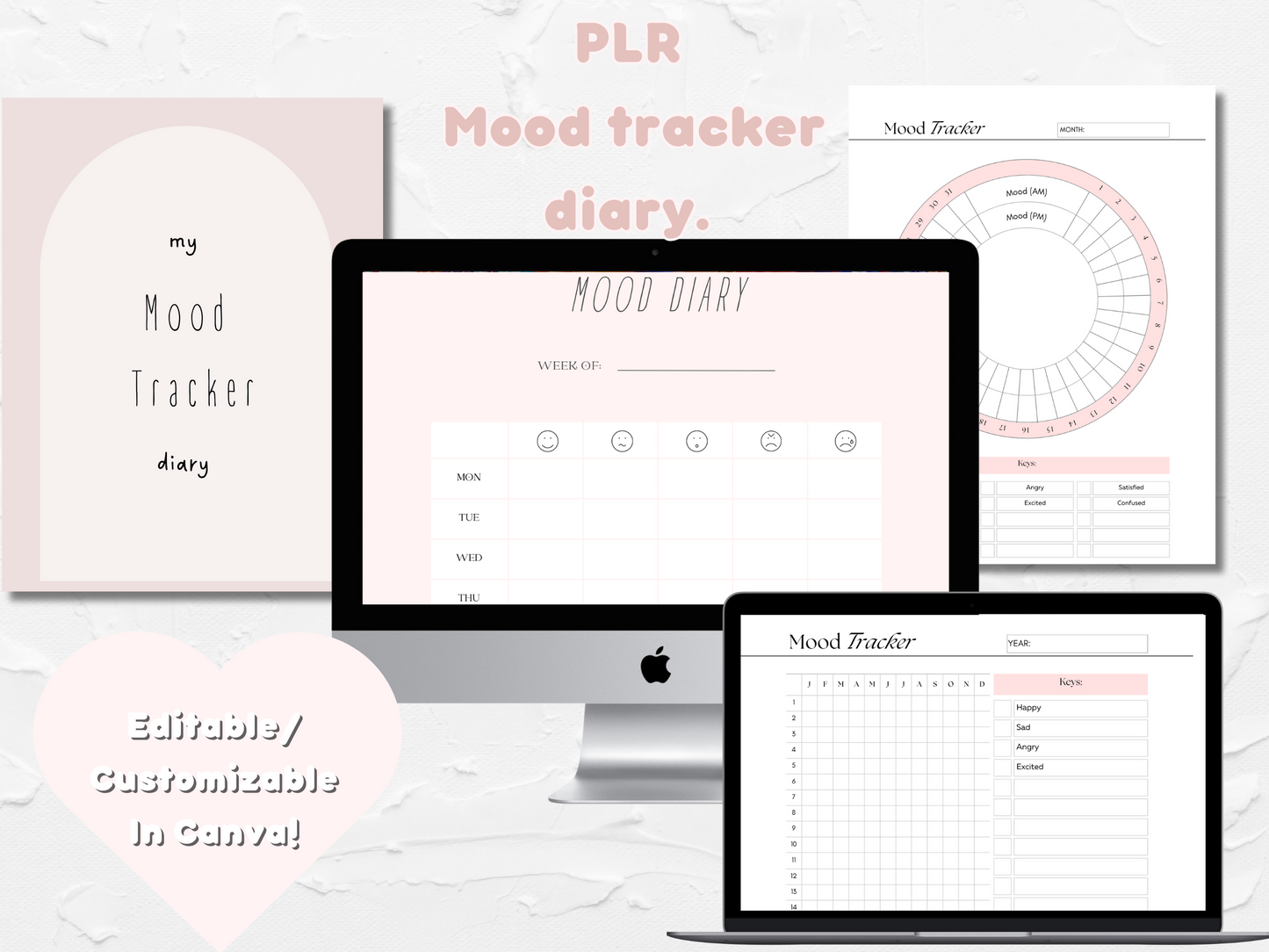 PLR My Mood Tracker Diary