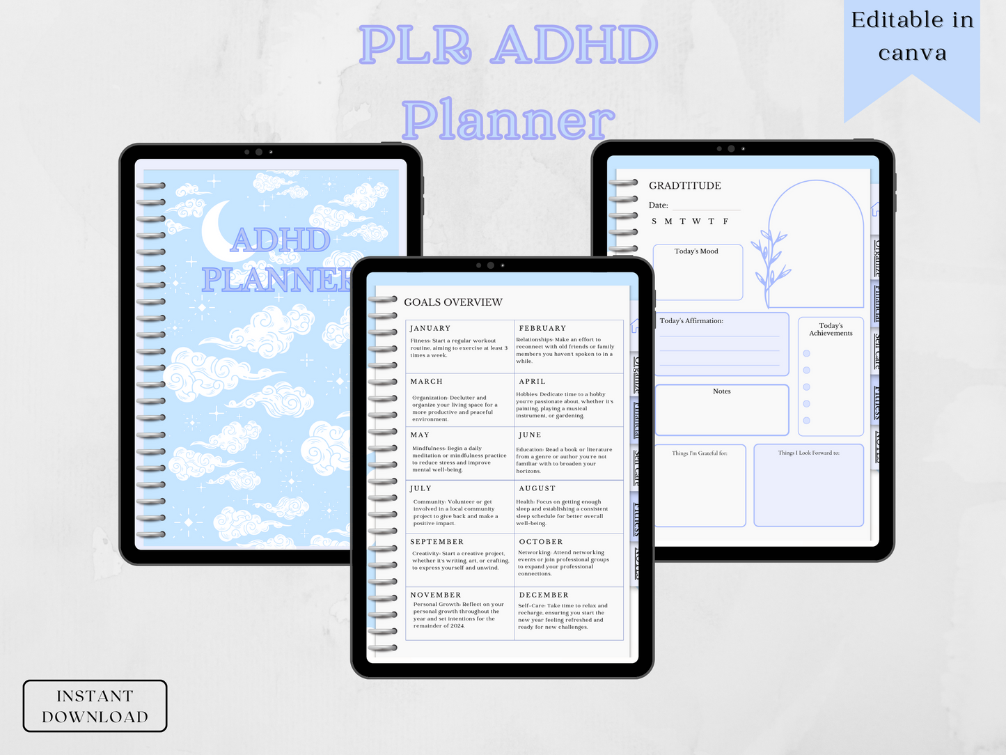 PLR ADHD Digital Planner