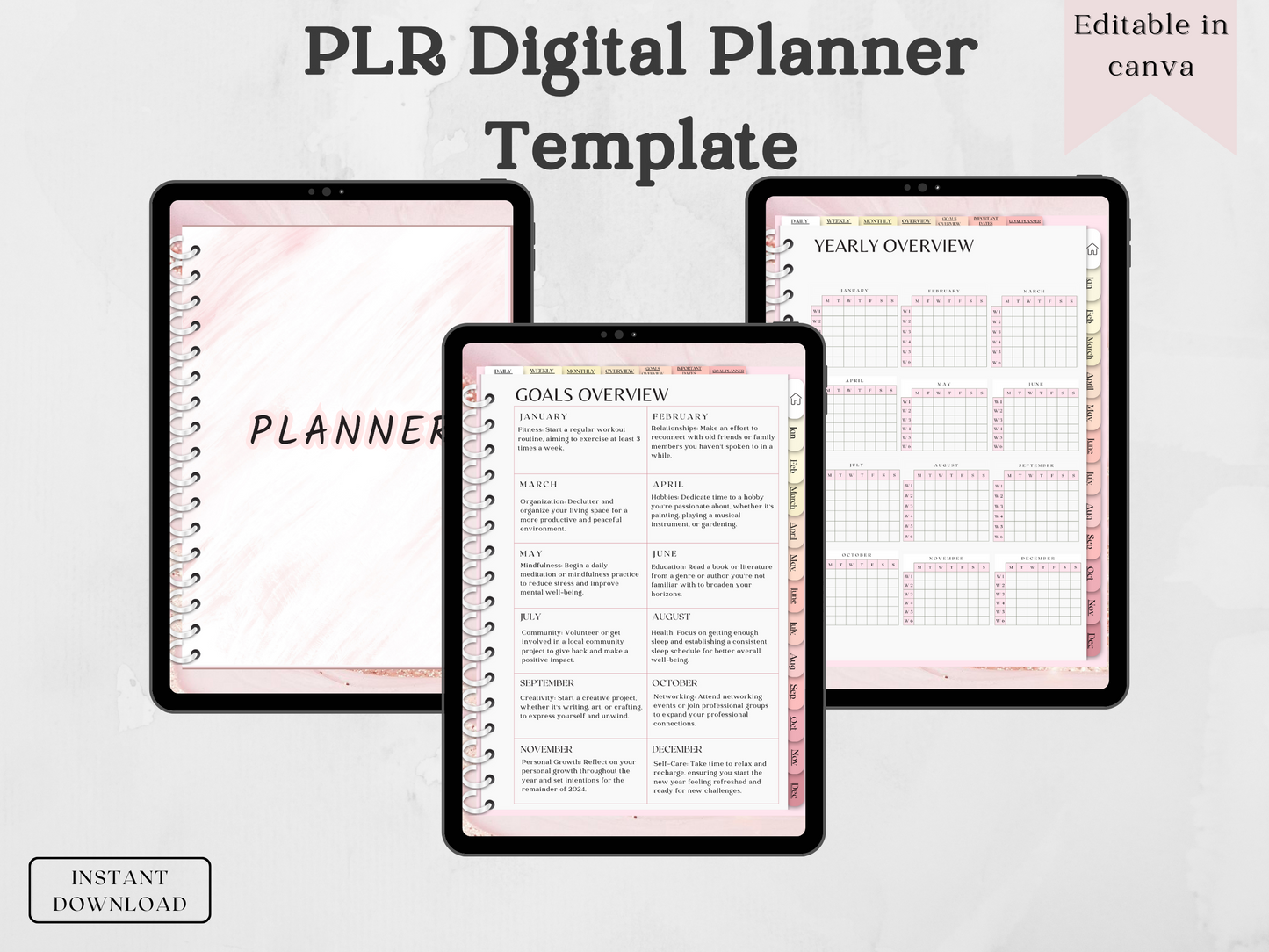 PLR Digital planner Template