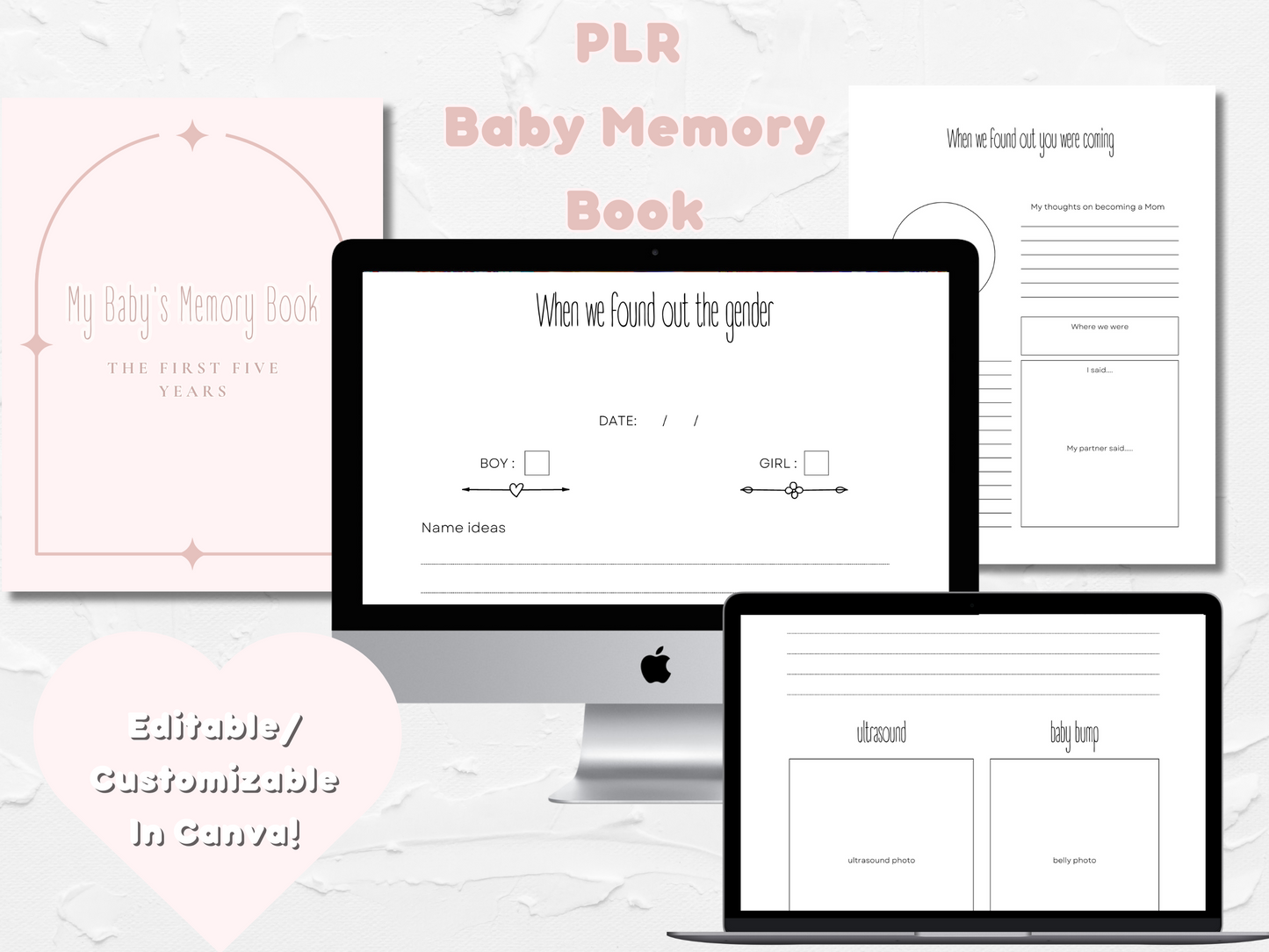 PLR Baby Book Template