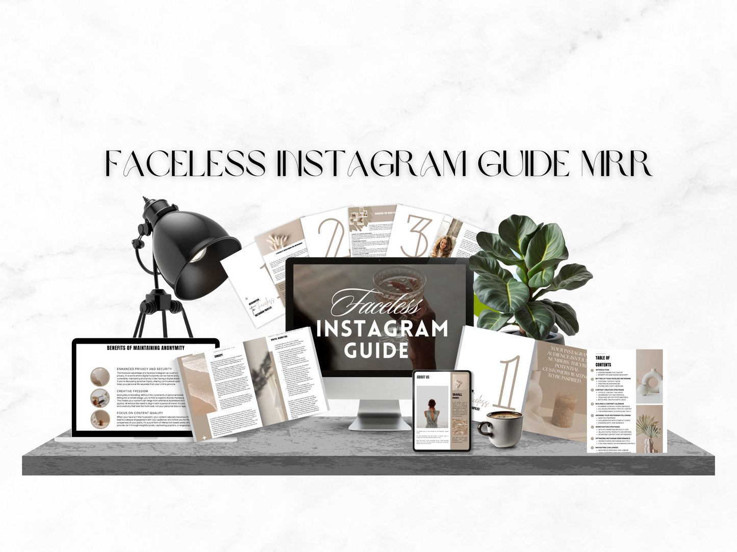 Faceless Instagram Guide MRR