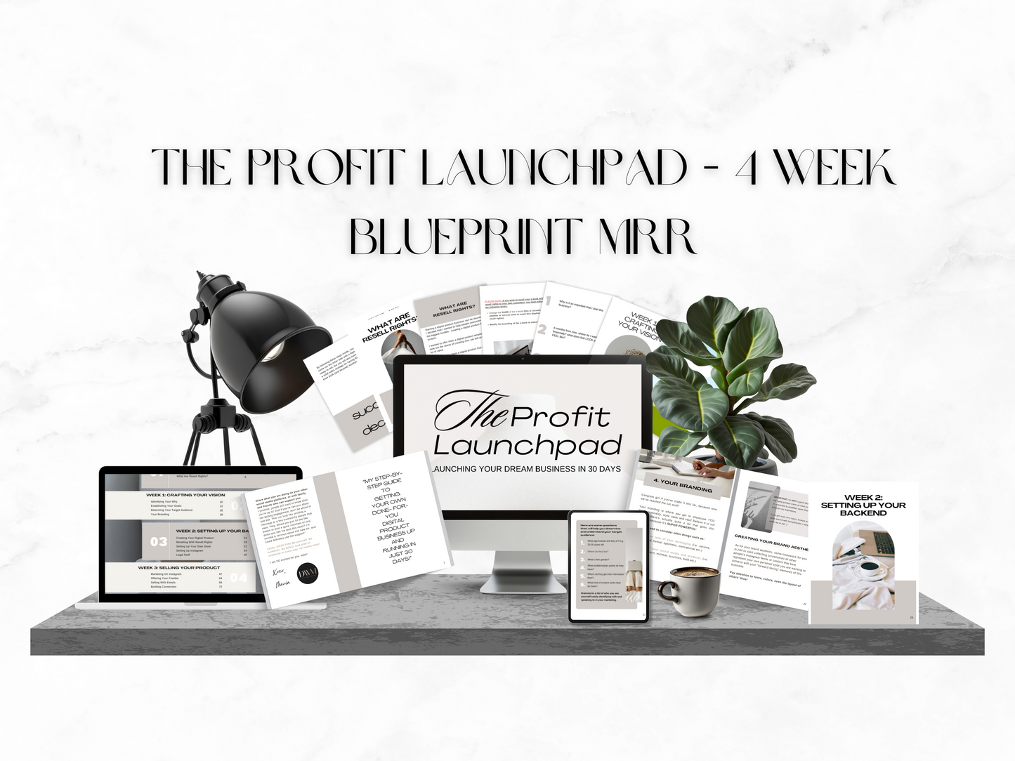 The Profit Launchpad - 4 Week Blueprint MRR