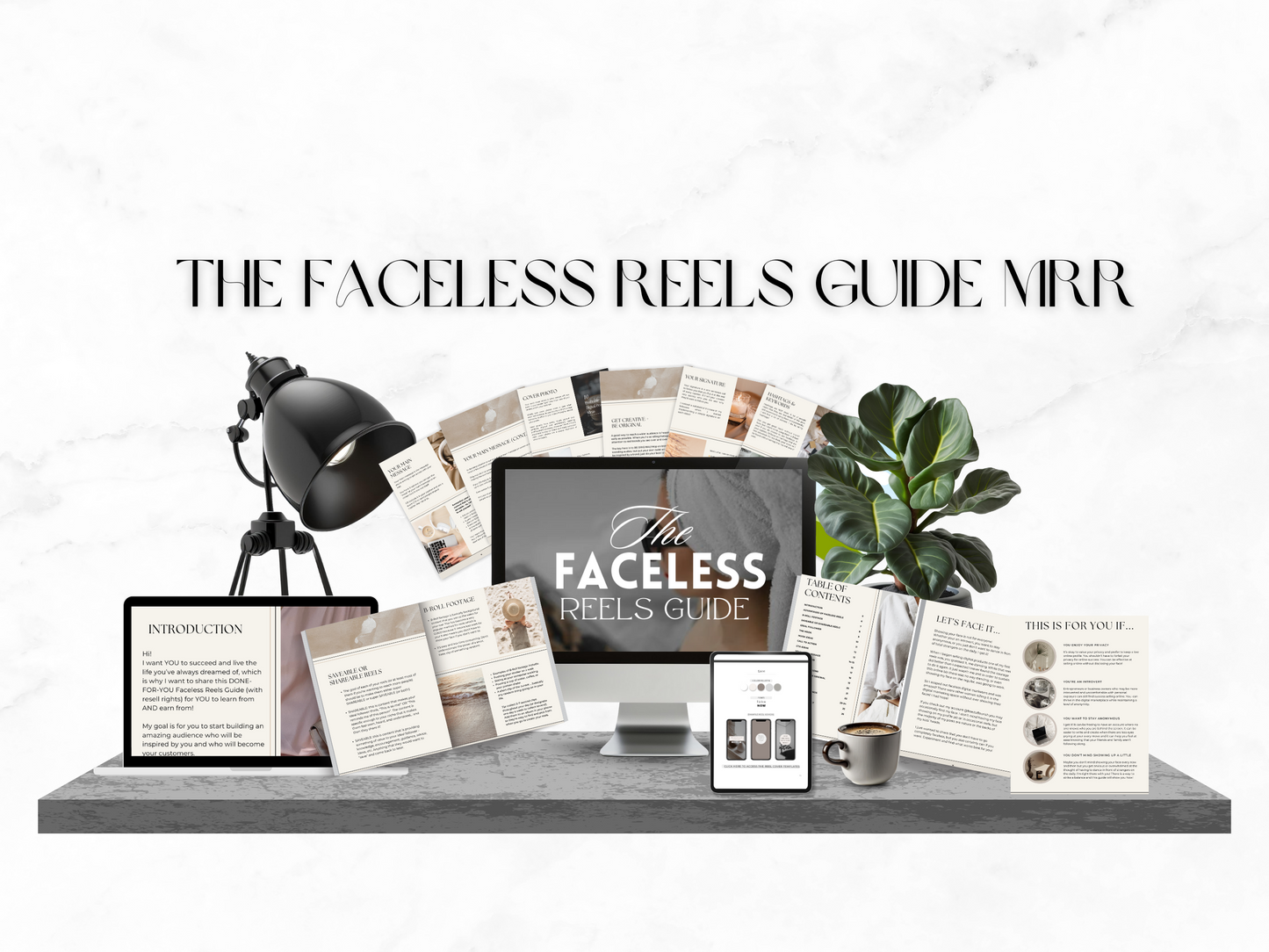 The Faceless Reels Guide MRR