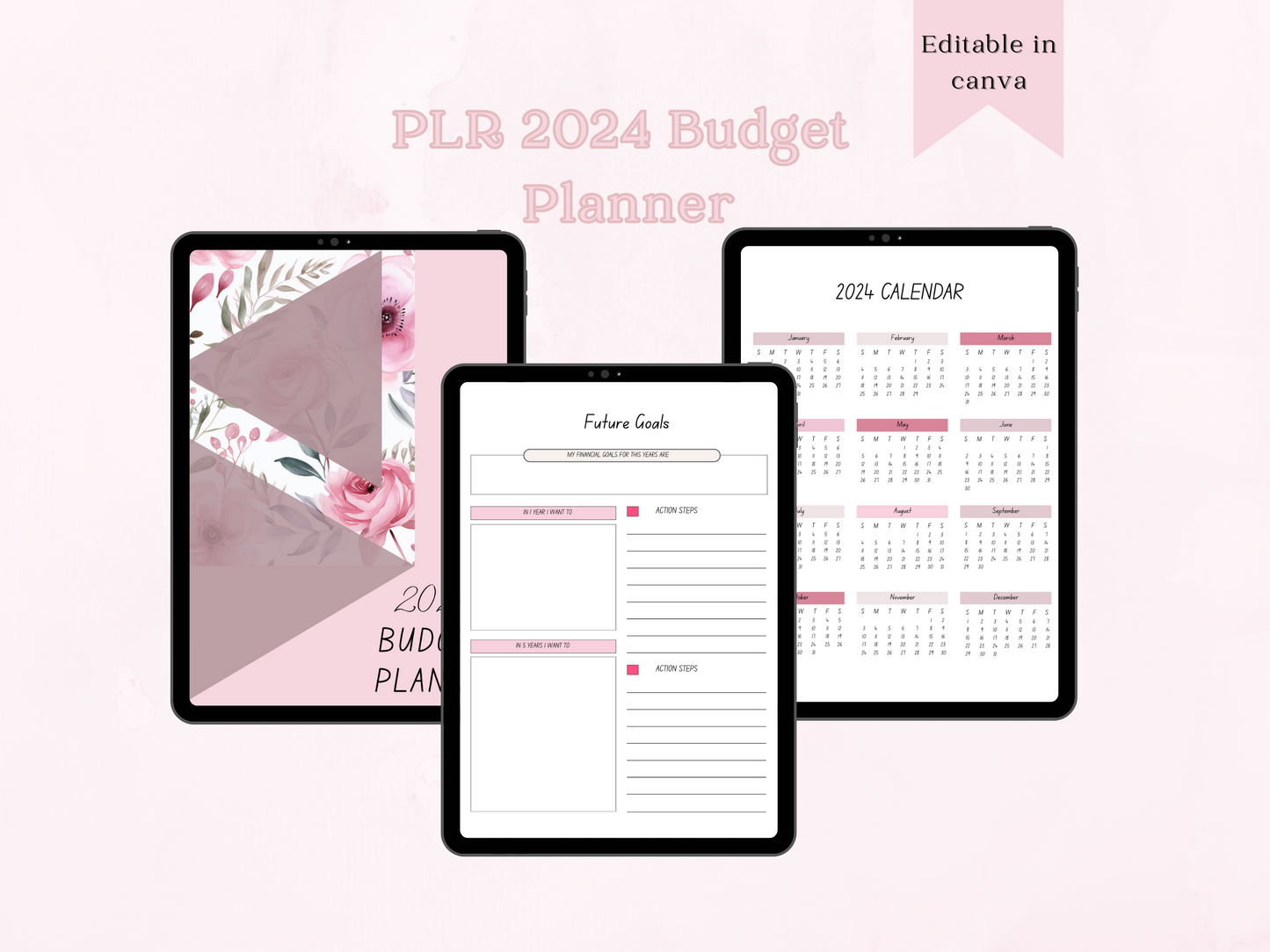 PLR 2024 Budget Planner