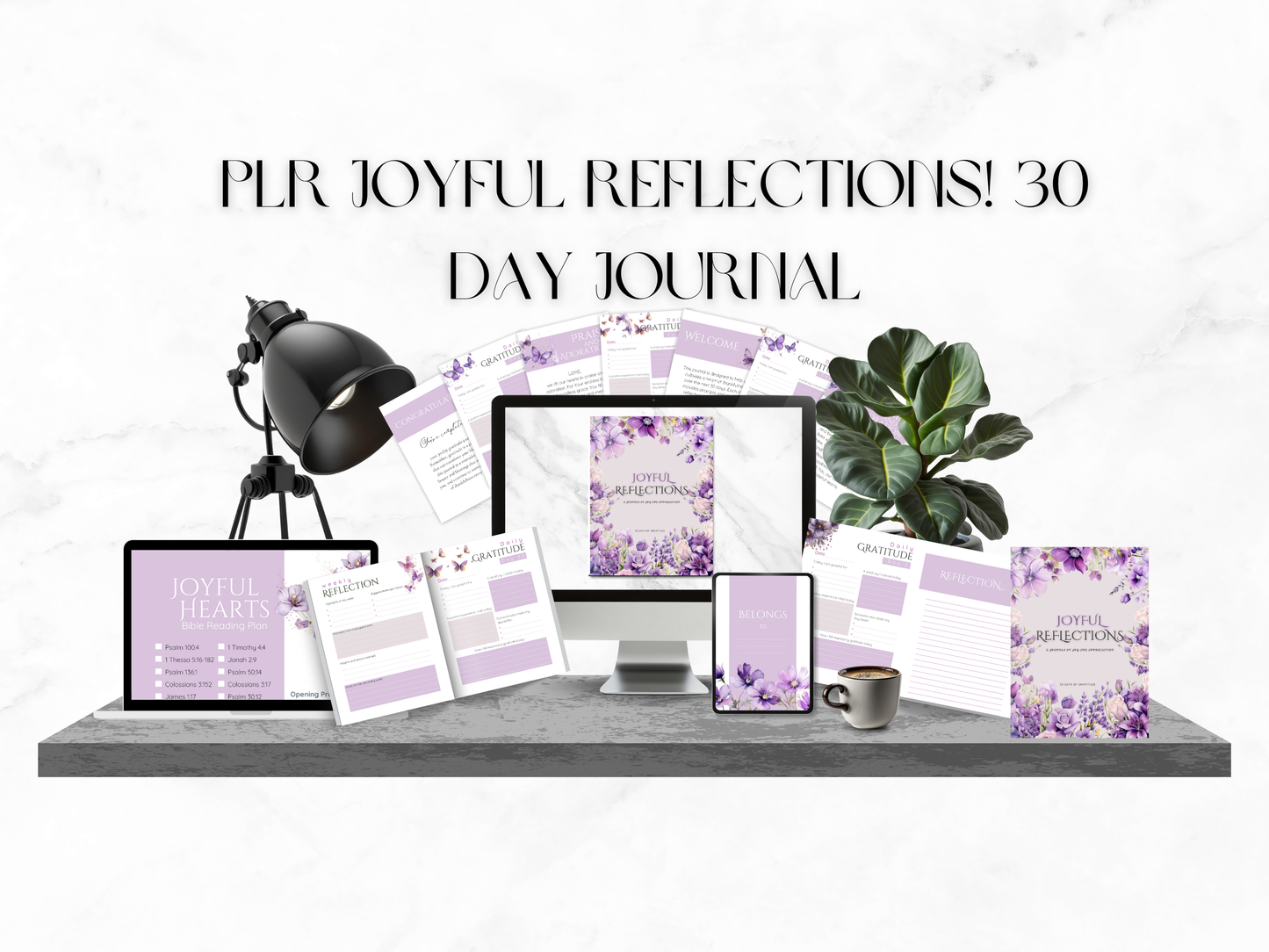 PLR Joyful Reflections 30 Day