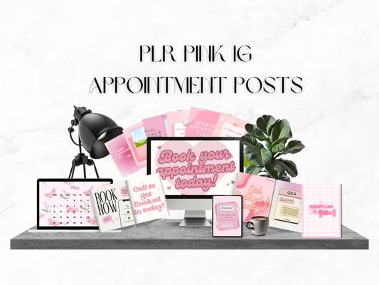 PLR Pink IG Appointment Posts