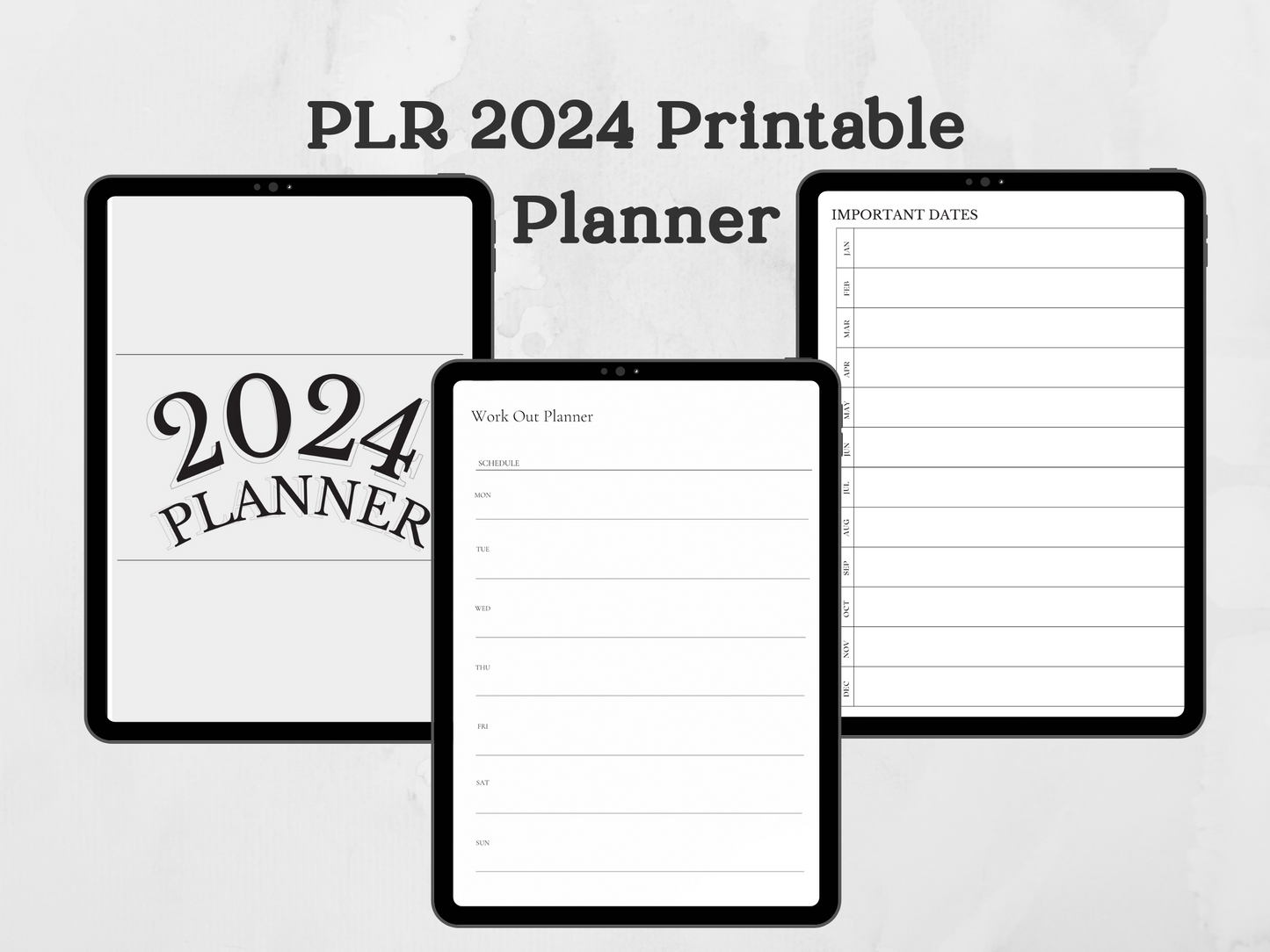 PLR 2024 Printable Planner