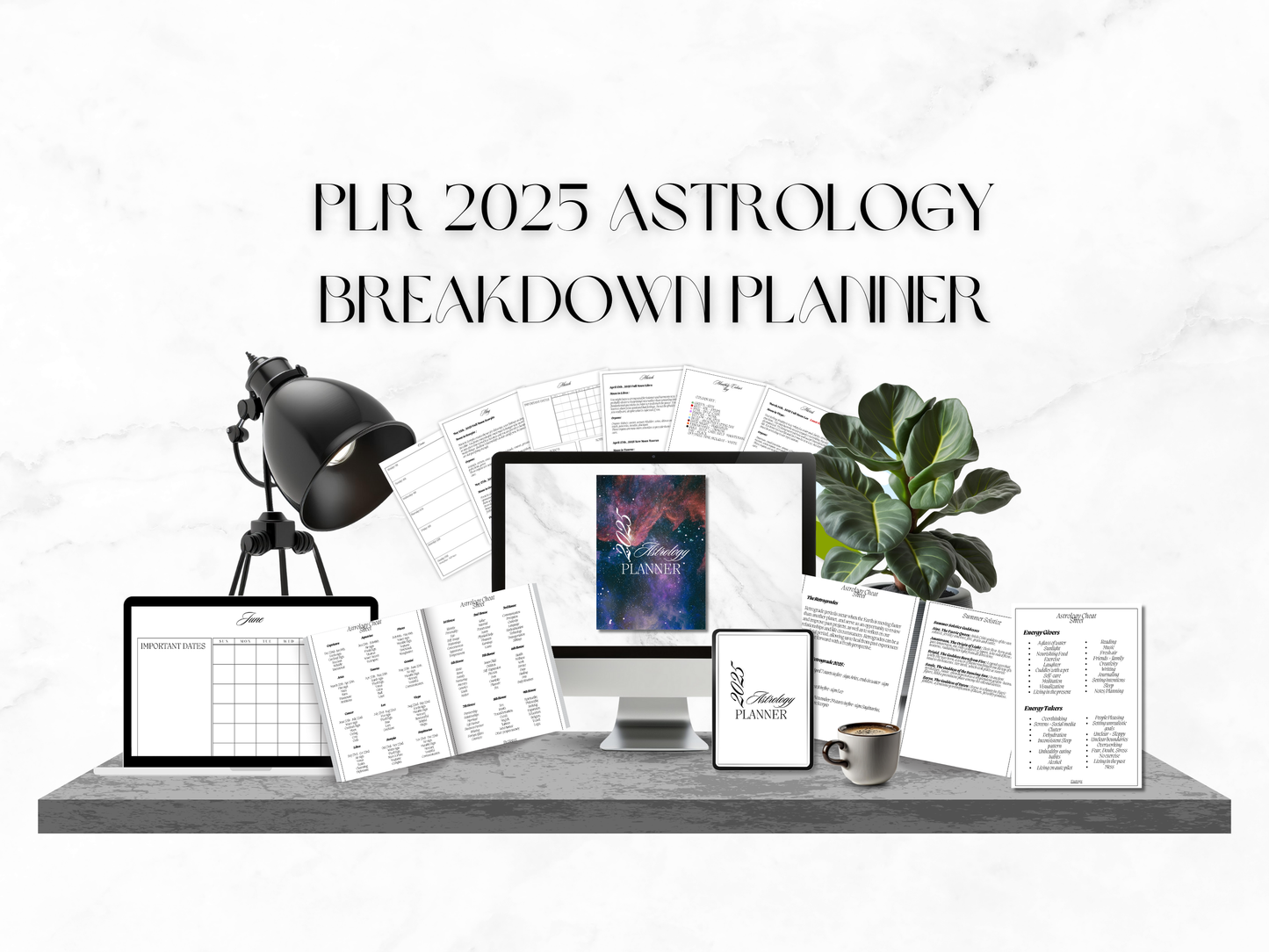 PLR 2025 Astrology Breakdown Planner