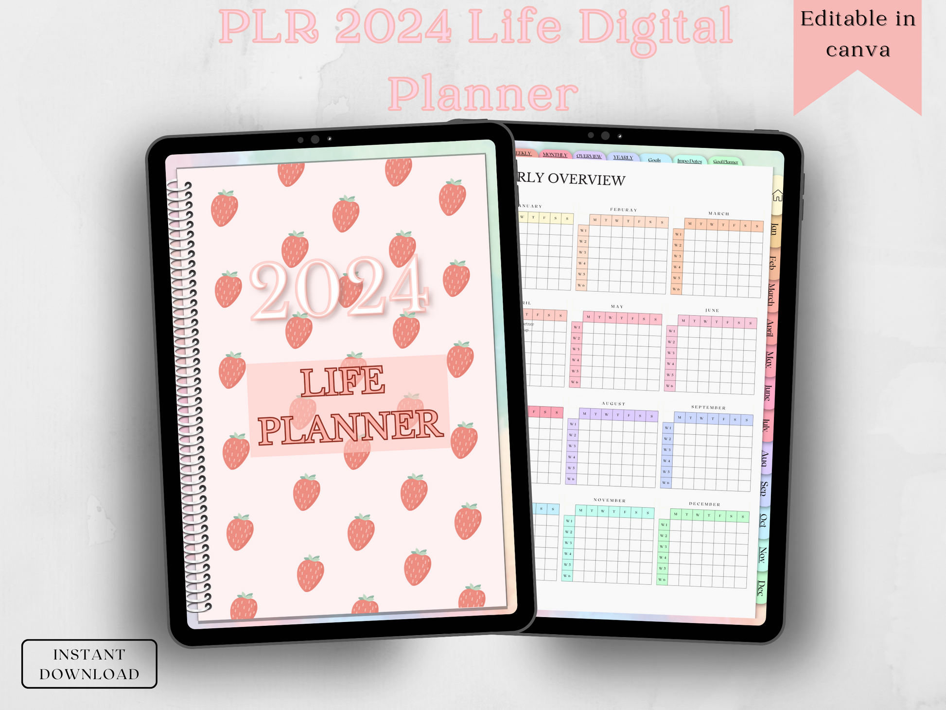 PLR 2024 Life Planner – Social Cheat Sheet 2.0
