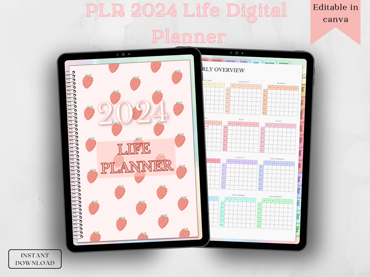 PLR 2024 Life Planner