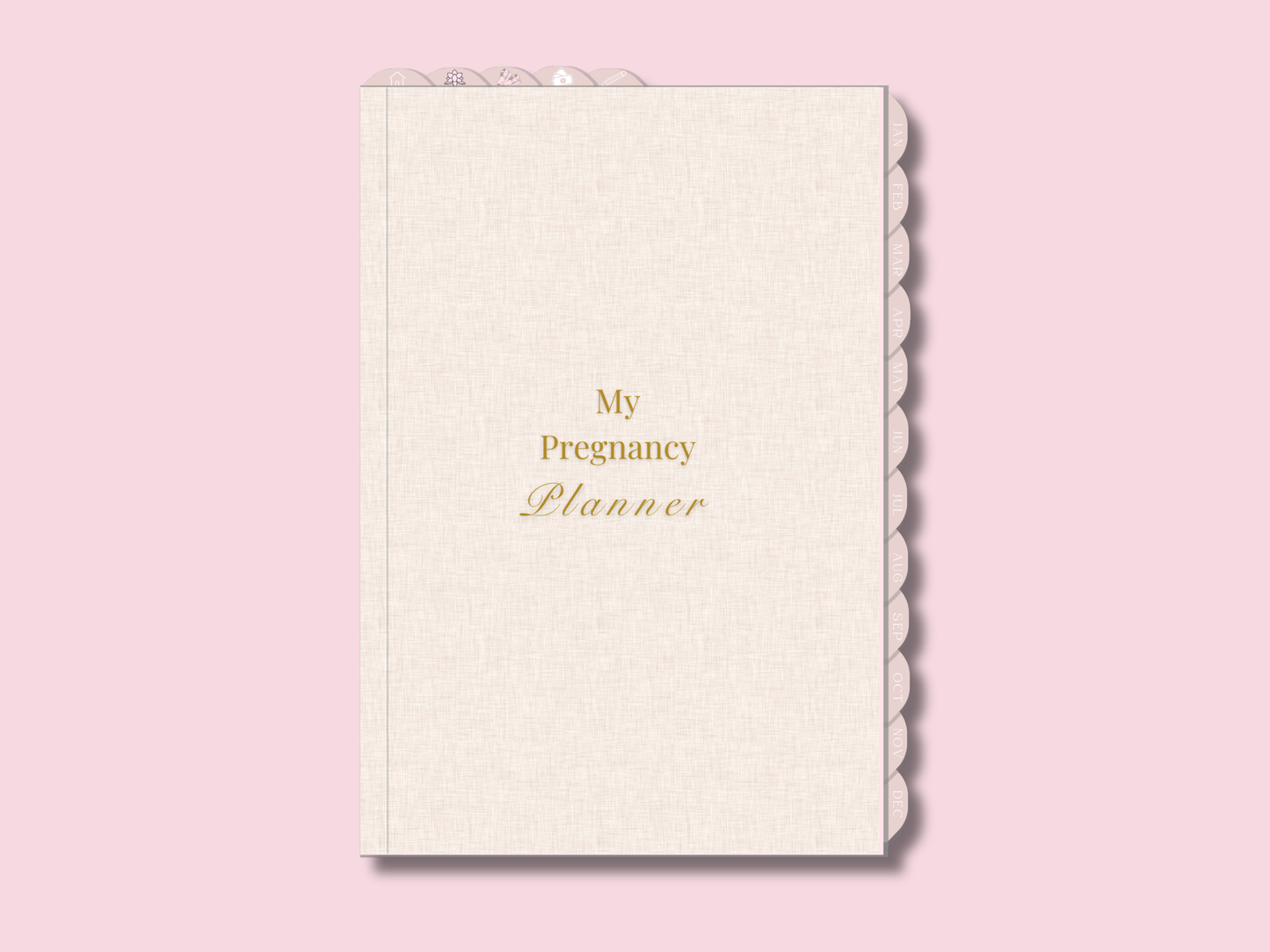 PLR Digital Pregnancy Journal