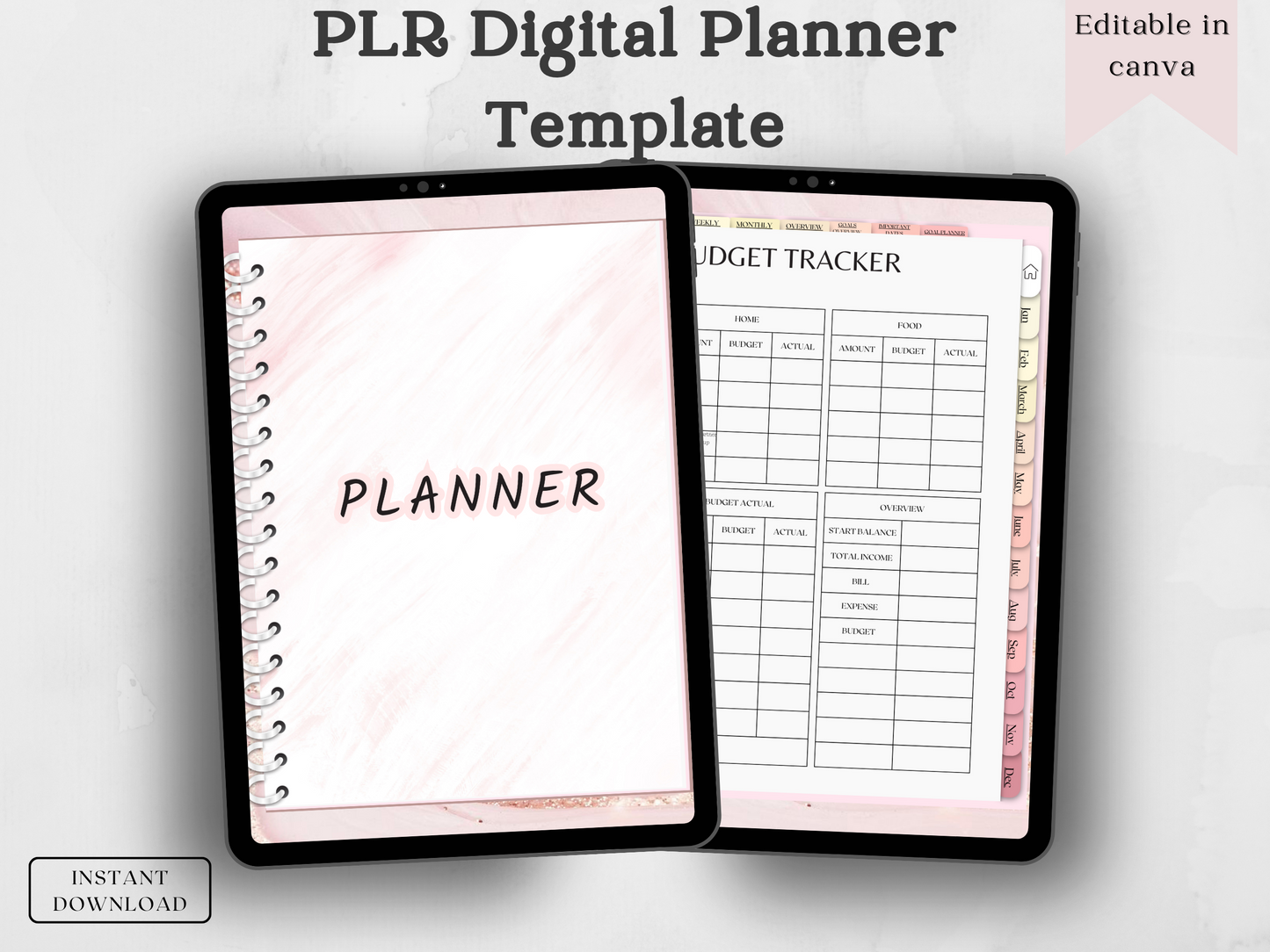 PLR Digital planner Template