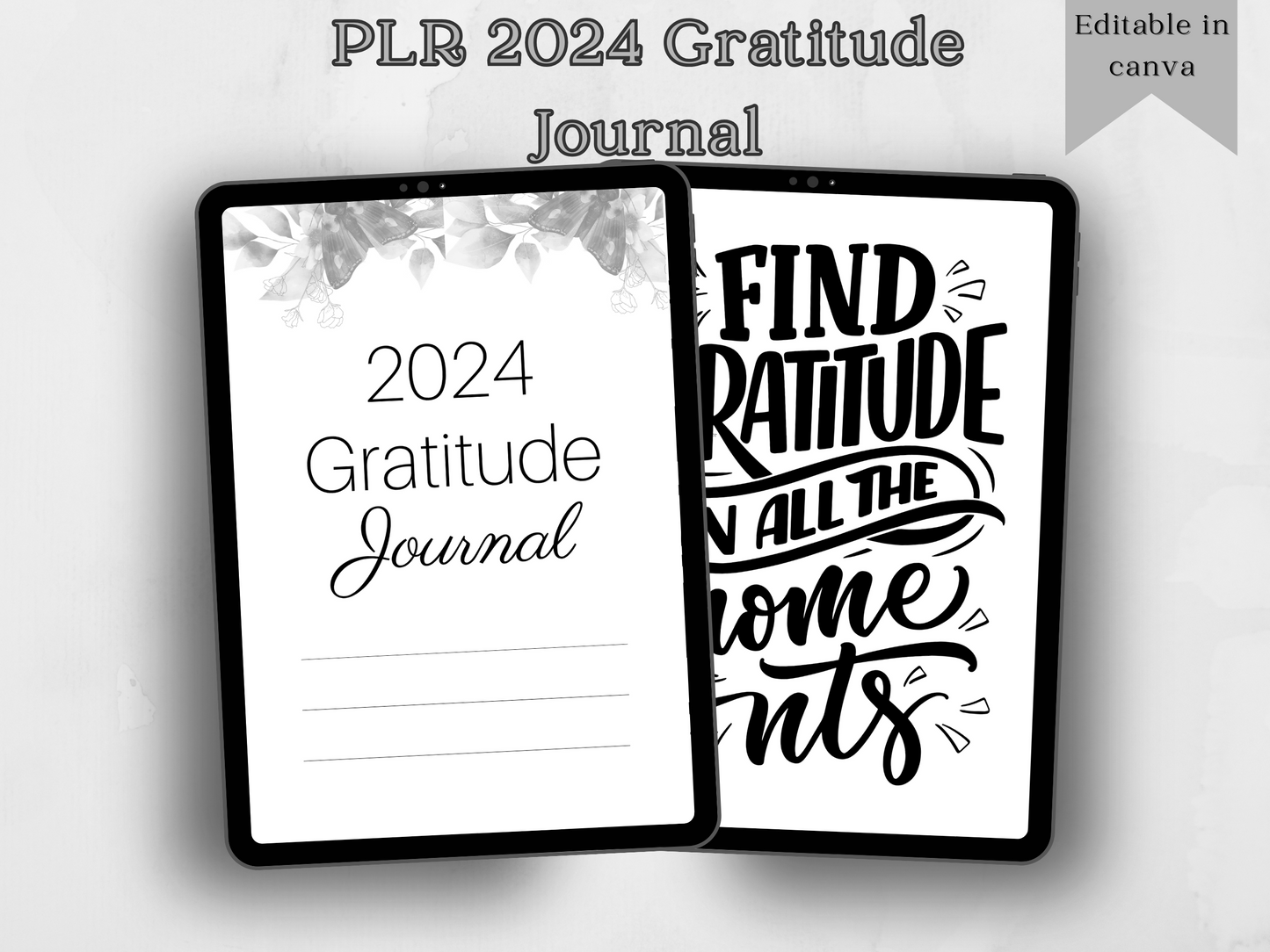 PLR Editable 2024 Gratitude Journal