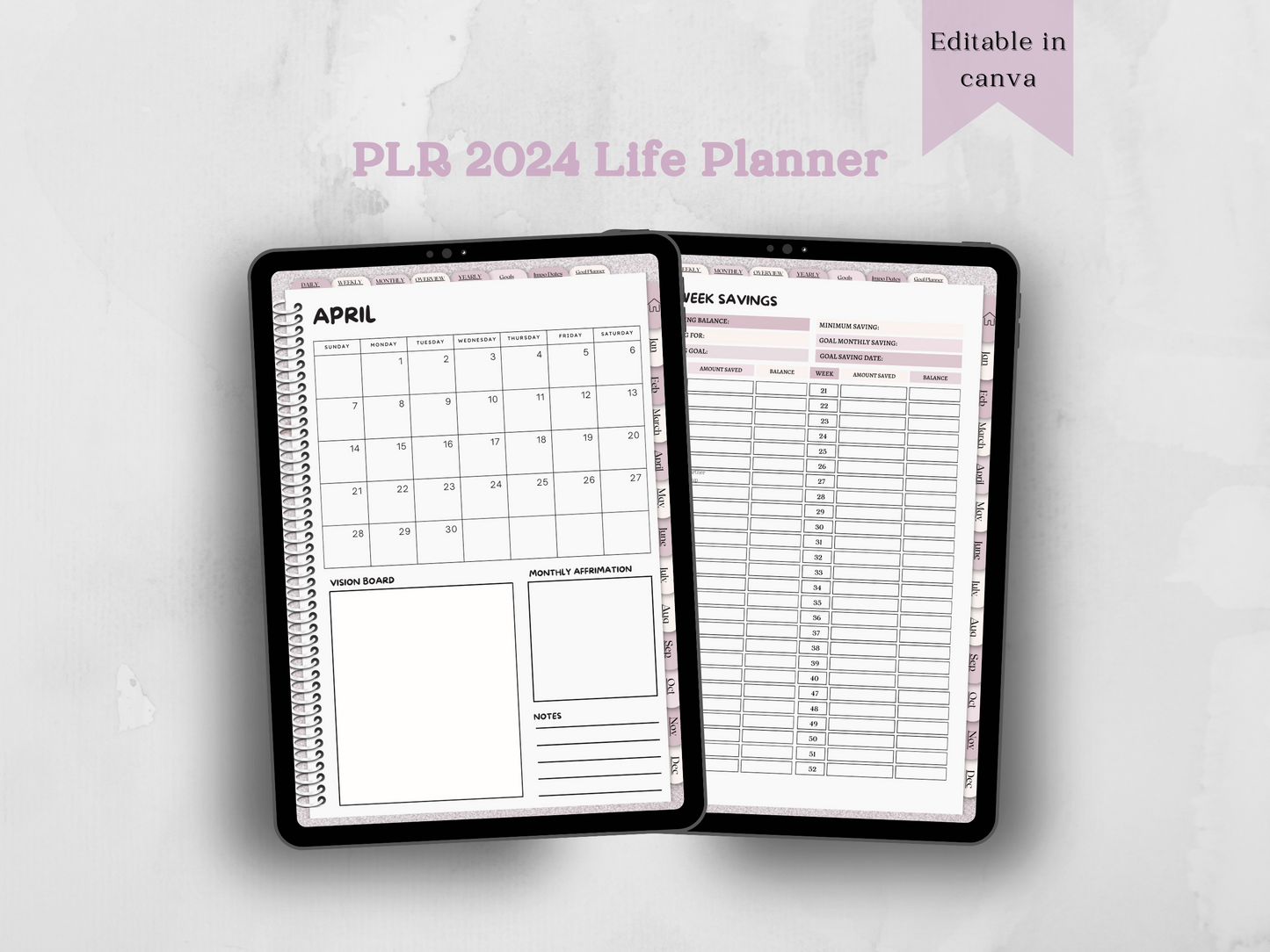 PLR 2024 Life Planner