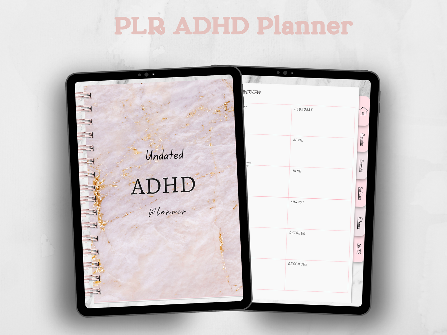 PLR ADHD Planner