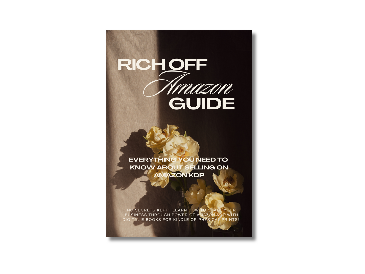 MRR Rich Off Amazon KDP Guide