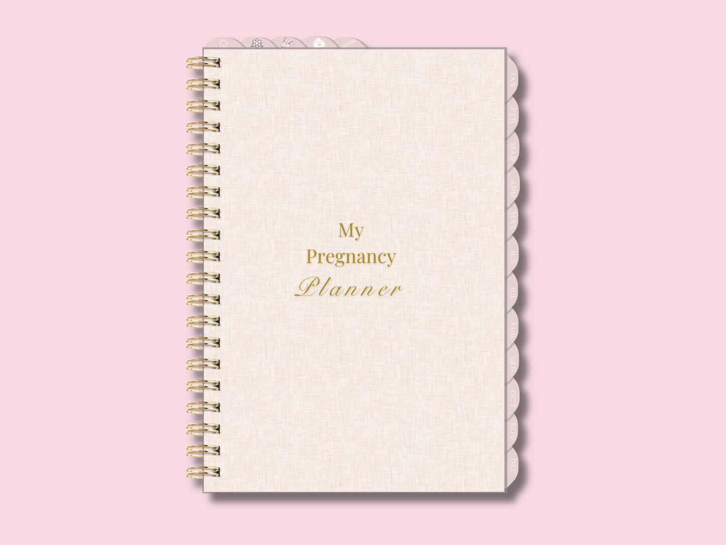 PLR Digital Pregnancy Journal