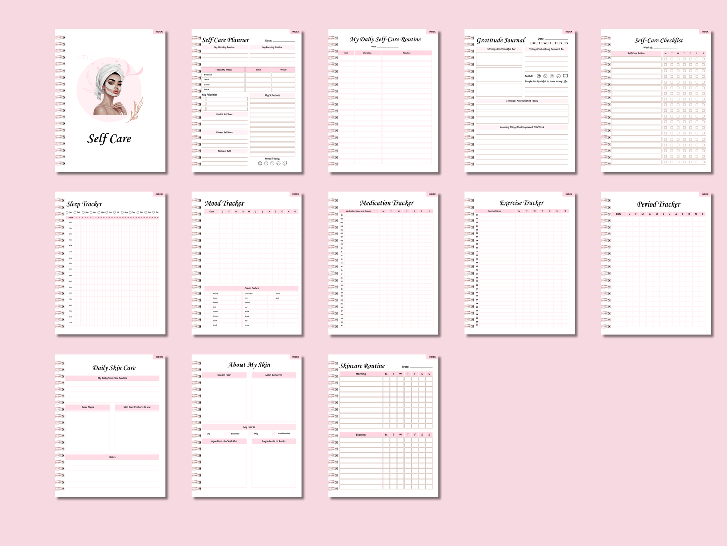 PLR That Girl Digital Planner