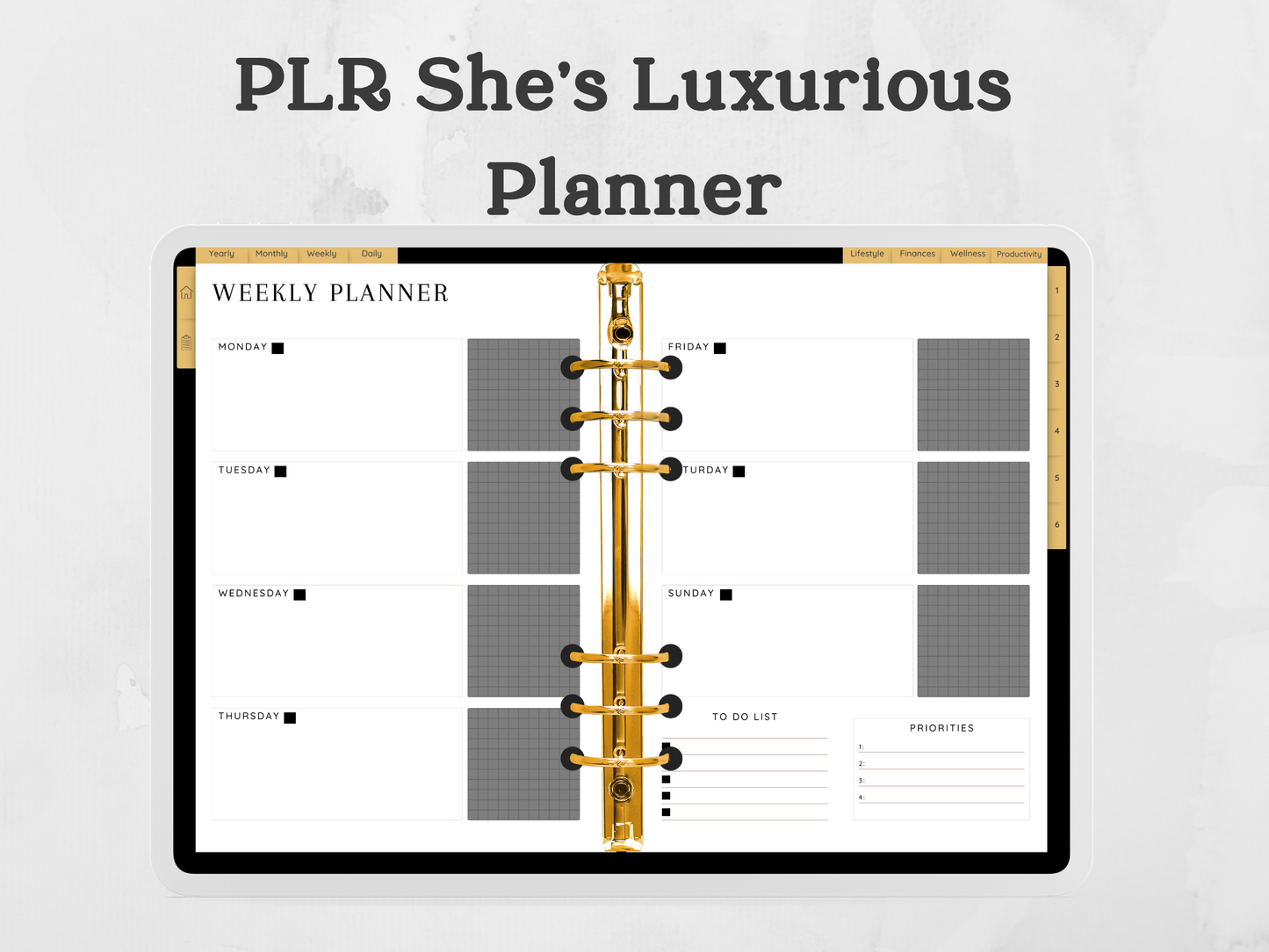 PLR shes's Luxurious Digital planner