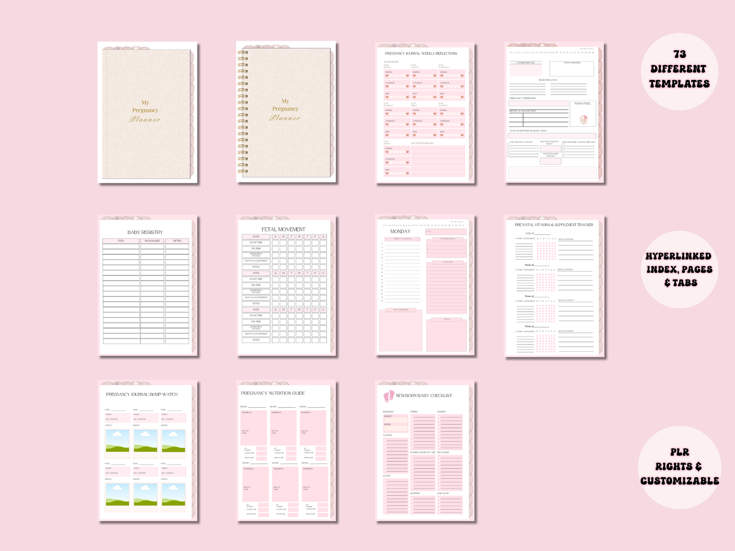 PLR Digital Pregnancy Journal