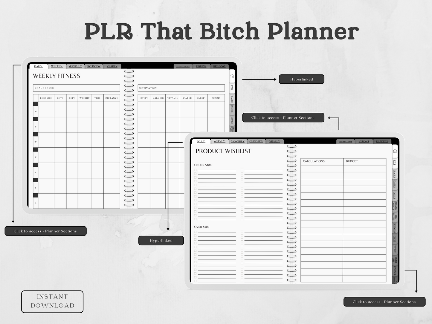 PLR That Bitch Planner