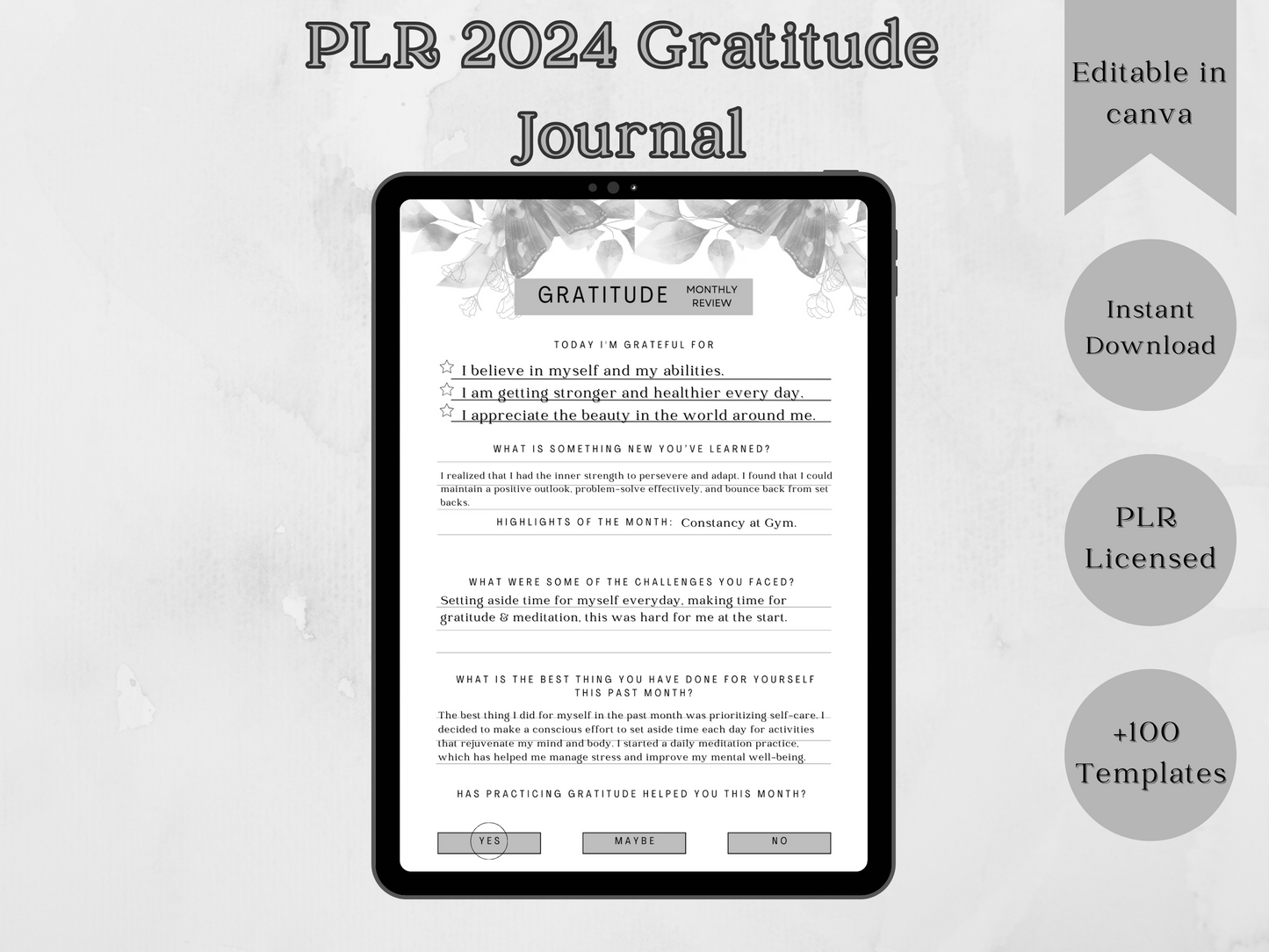 PLR Editable 2024 Gratitude Journal