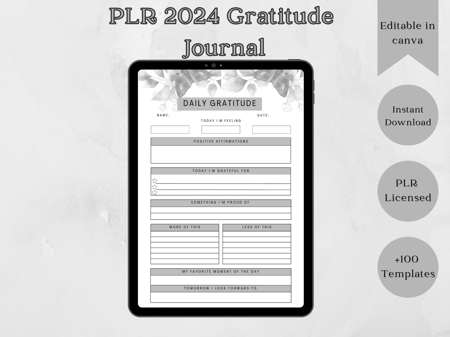 PLR Editable 2024 Gratitude Journal