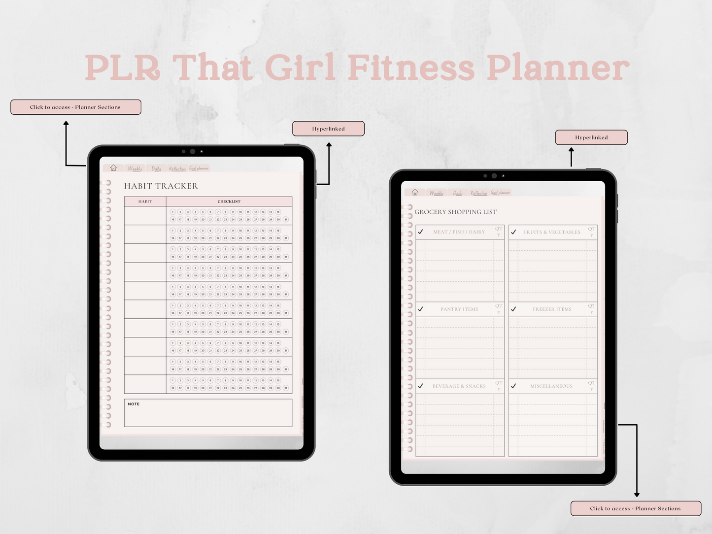 Editable PLR Fitness Girl Planner