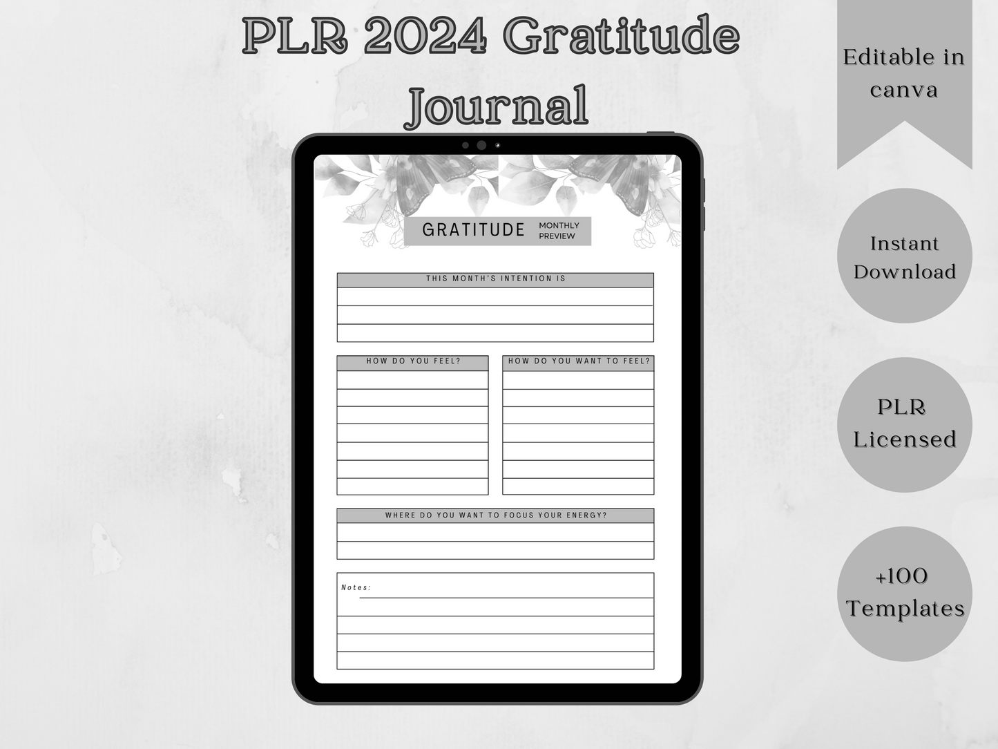 PLR Editable 2024 Gratitude Journal