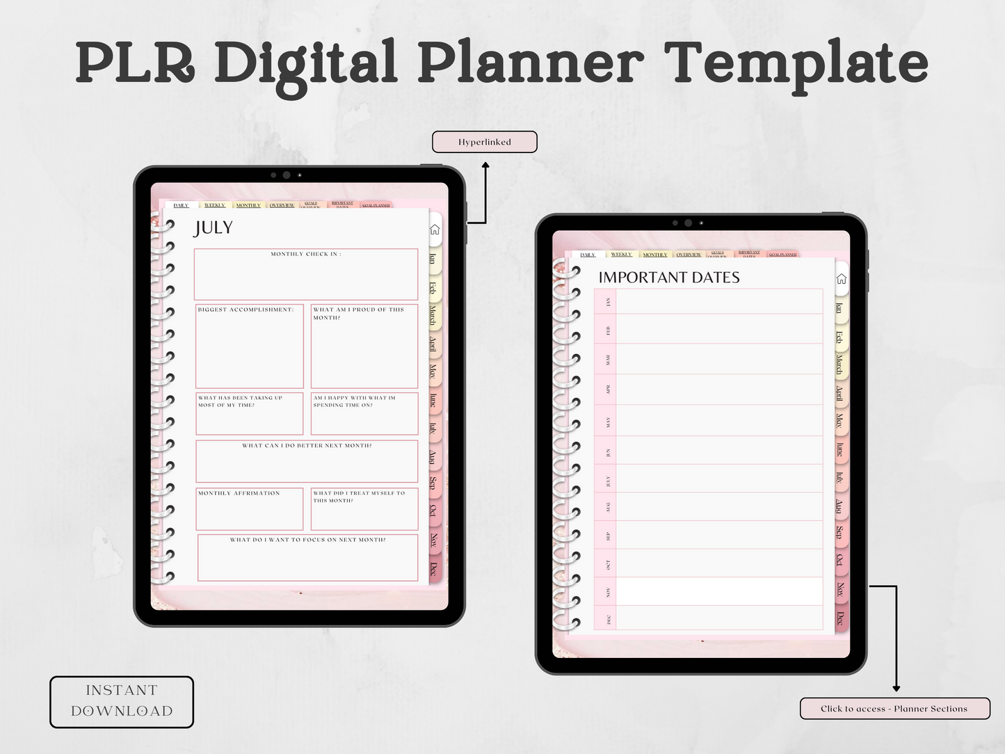 PLR Digital planner Template