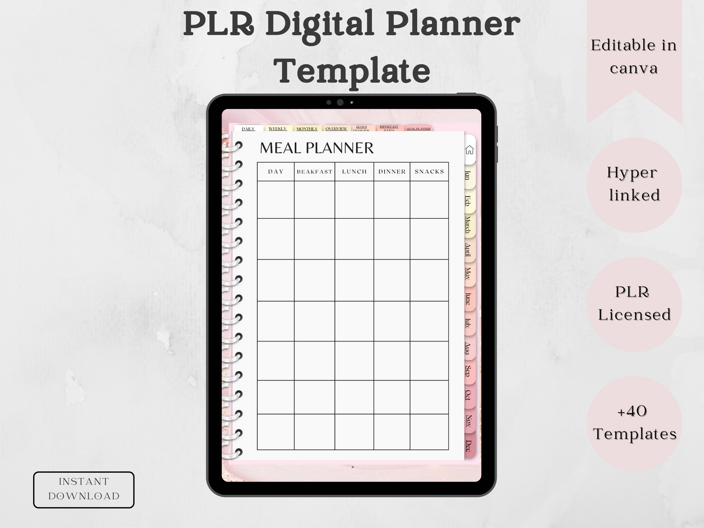 PLR Digital planner Template