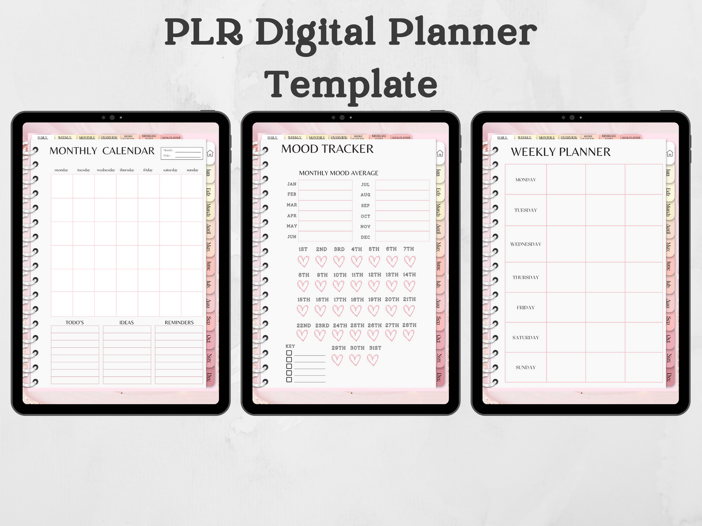 PLR Digital planner Template