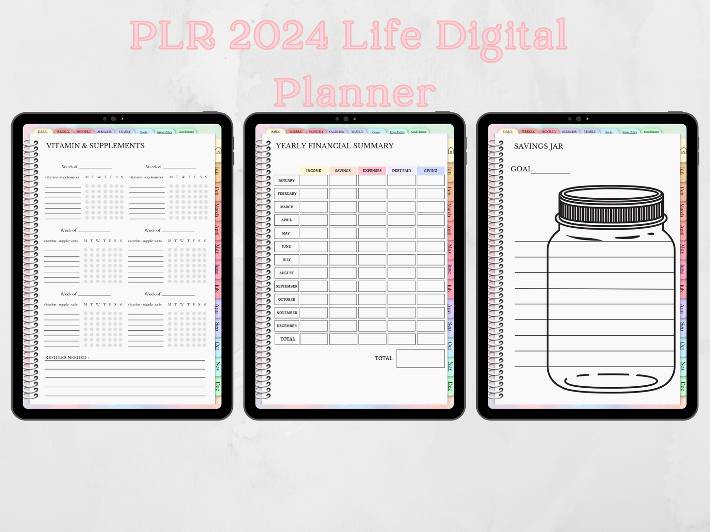 PLR 2024 Life Planner