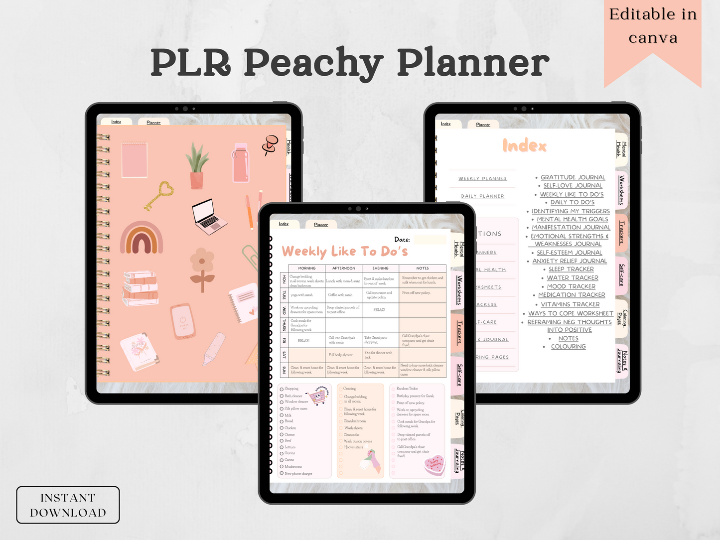 PLR Peachy Planner