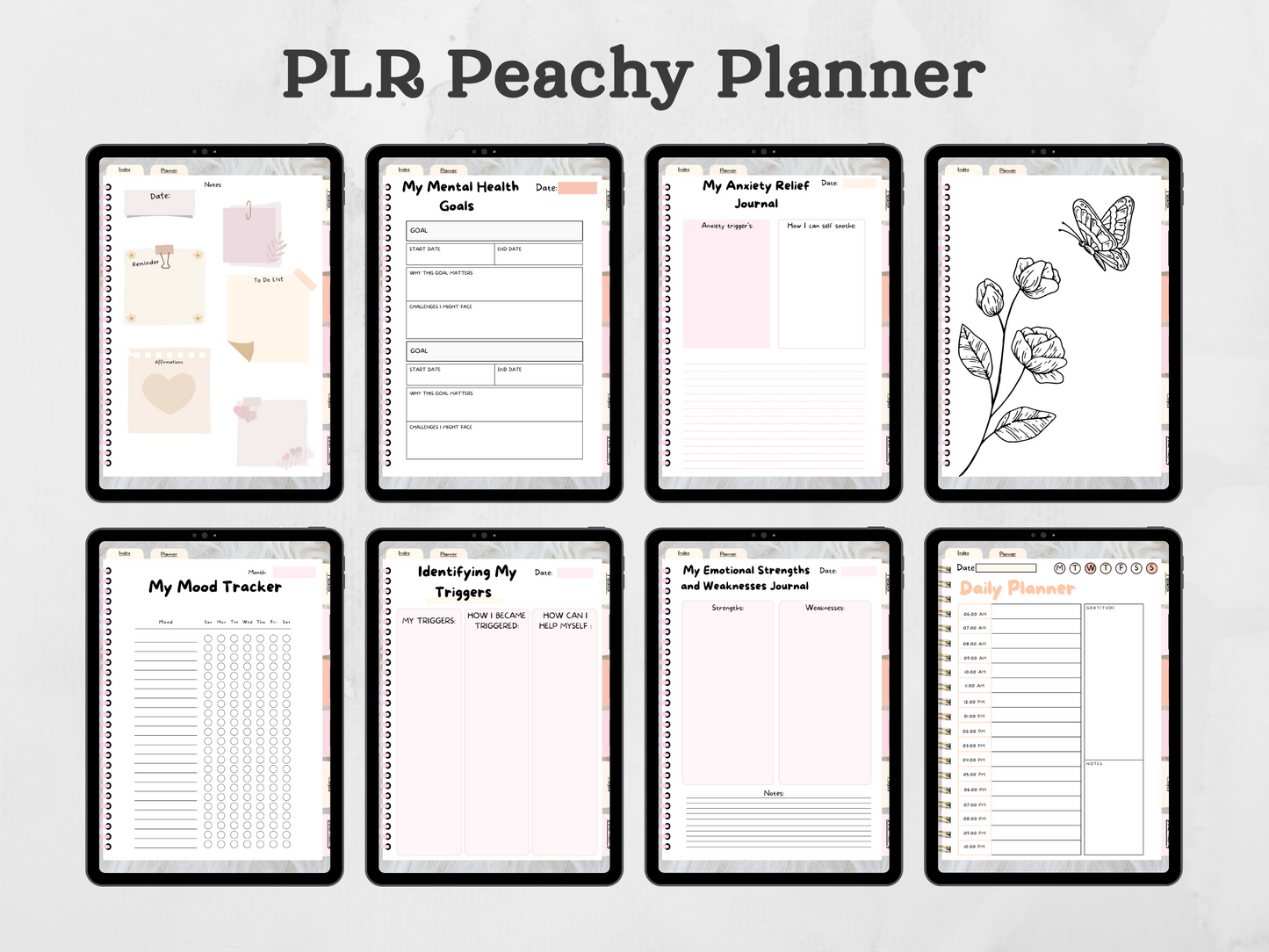 PLR Peachy Planner