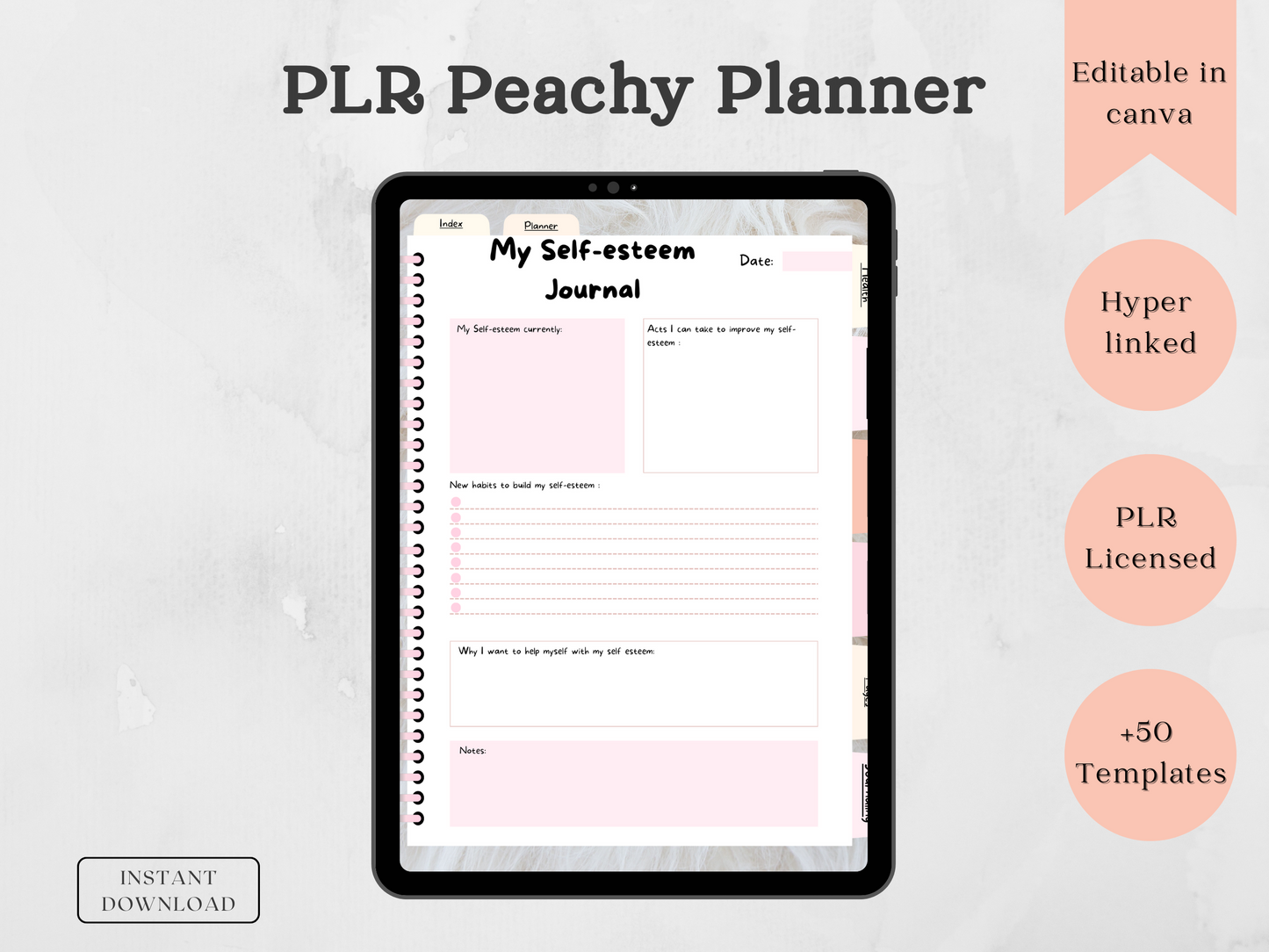 PLR Peachy Planner