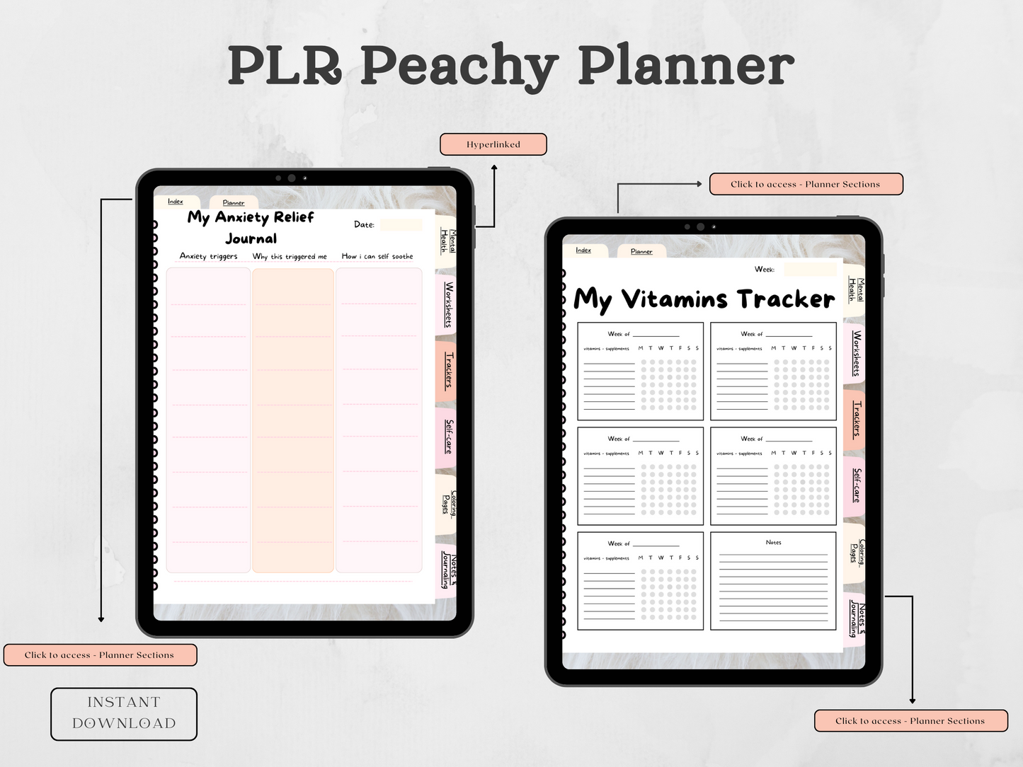 PLR Peachy Planner