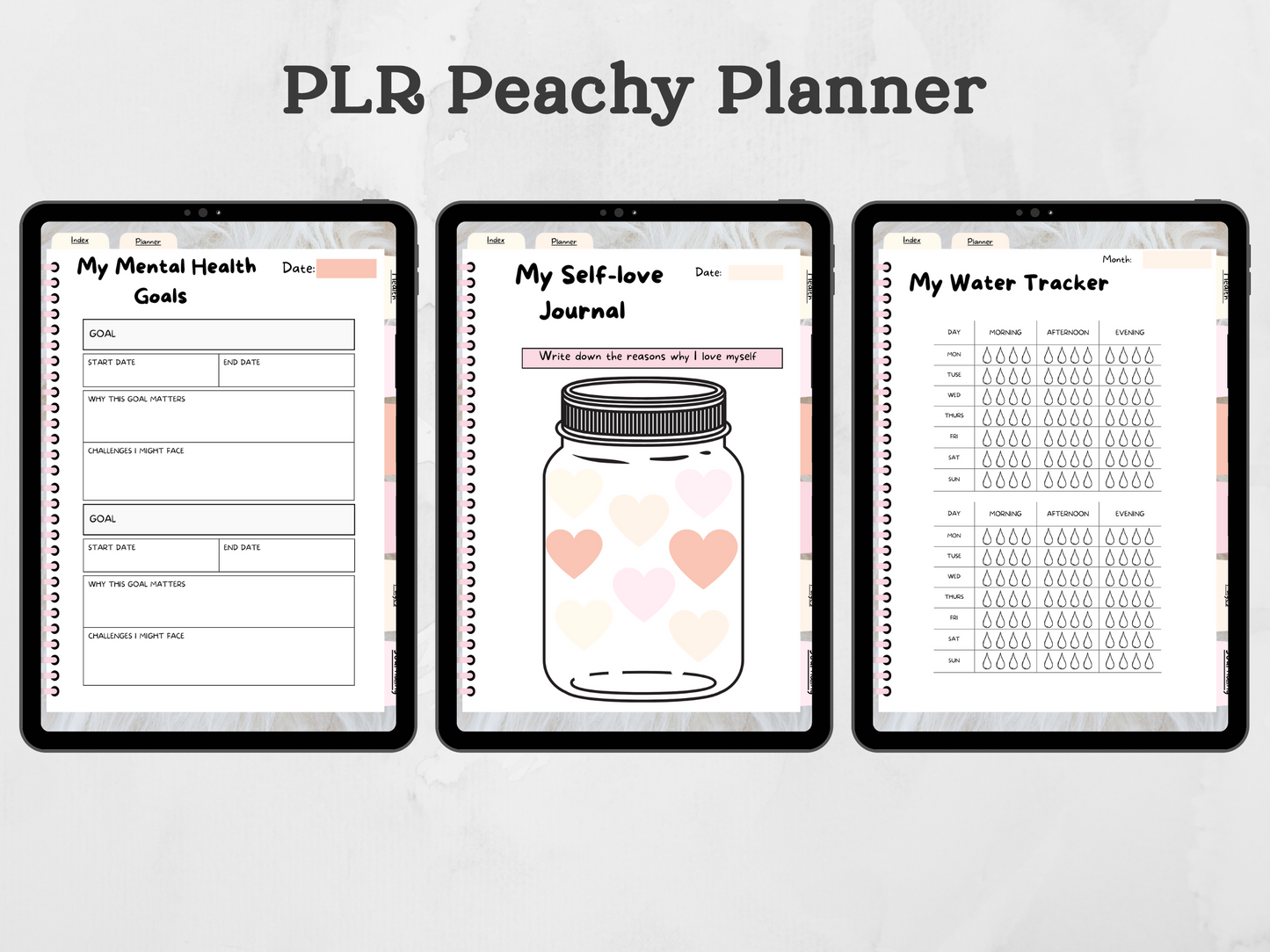 PLR Peachy Planner