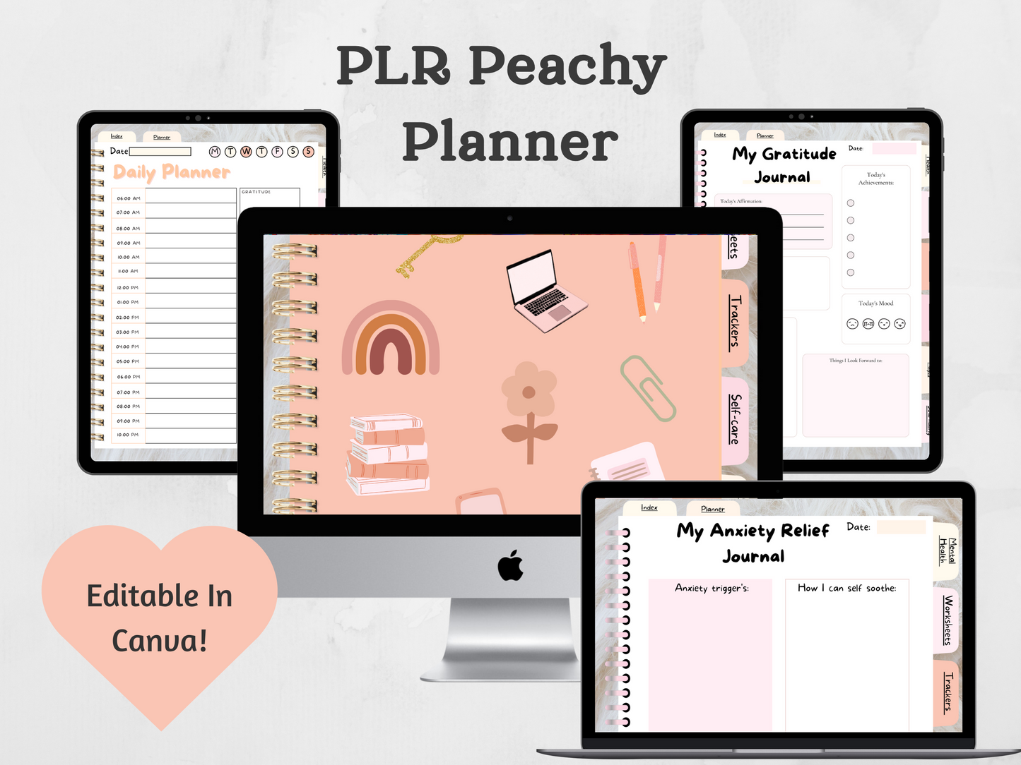 PLR Peachy Planner