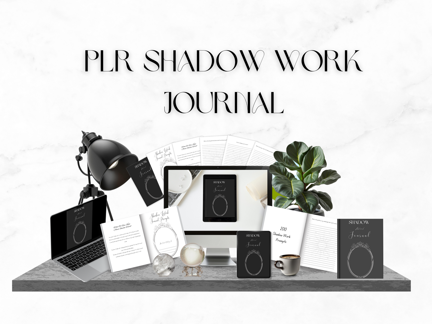 PLR Shadow Work Journal