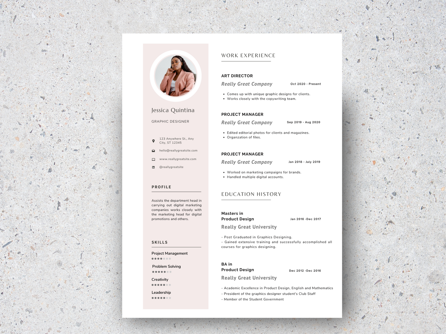 PLR Resume Editable